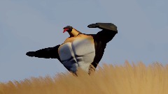 A screenshot taken in Dreams. 3 of 7.