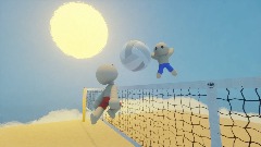 Sky Island Volleyball
