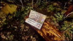 Synth in the forest