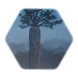 Baobab Tree