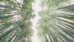 A screenshot taken in Dreams. 17 of 25.