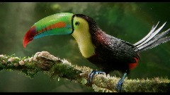 A screenshot taken in Dreams. 2 of 13.