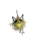 RENbugONE