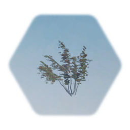 Finnish Countryside Asset Pack