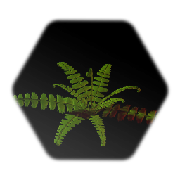 Fern sculpt