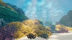 Underwater test
