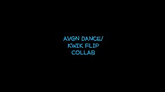 AVGN DANCE/KWIK FLIP