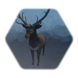 Deer