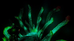 A screenshot taken in Dreams. 8 of 11.