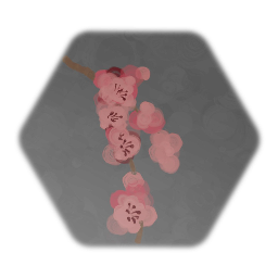Sakura - Cherry