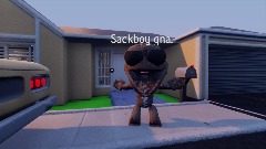 Sackboys qna!!!