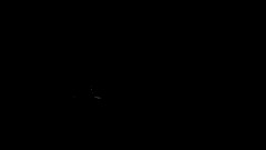 Coolzone ep 2023: Dreams