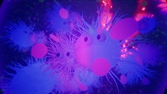 A screenshot taken in Dreams. 3 of 12.