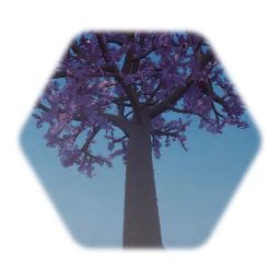 Sakura / Cherry Blossom Tree