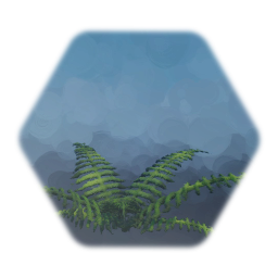 Fern