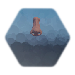 Nose