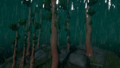 Rainy forest