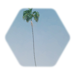 1 Sculpt Palm Tree