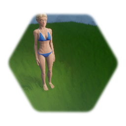 The Collection - 11/2020