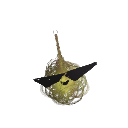 Squashwilson