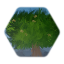 Rock formations & Flora - 23/1/2019