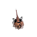 Kosrofus