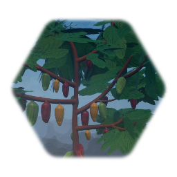 Cocoa tree