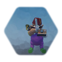 Photography wario