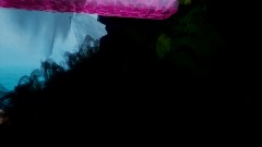 Crash in island misterious