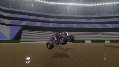 US bank stadium wildflower