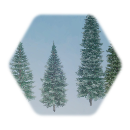 Colorado Blue Spruce Tree (Full)