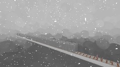 Duck rescuetrain Snow marsh