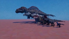 Old & New Faces! JWO + Size Comparison