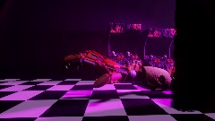 <term>Test Animation