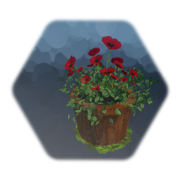 Outdoor poppy flower pot