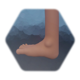Foot