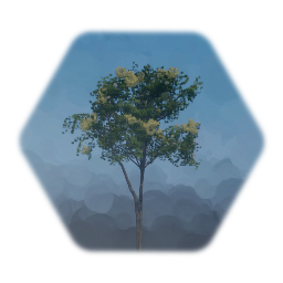 Golden Madallion tree