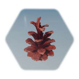 Pine Cone
