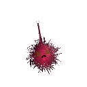 DrPepperIsMtnDew