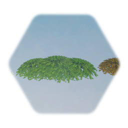 Invasive Japanese Honeysuckle
