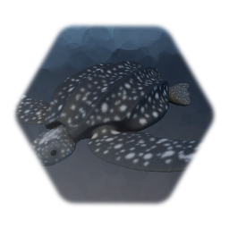 Leatherback Sea Turtle