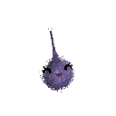 Darkexcal