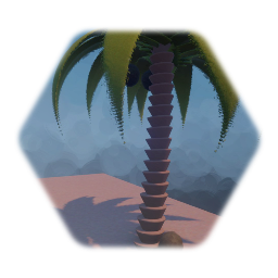 Palm Tree