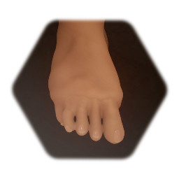 Foot