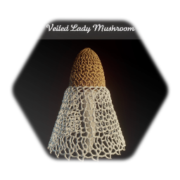 Veiled Lady (Phallus indusiatus) Mushroom