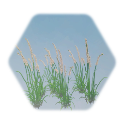 Canadian Goose Grass