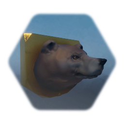 Mounted Bear Head