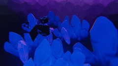 [WORLD 1 DEMO] The Nil Zone