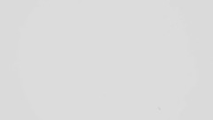 My Creation - 1/25/2025