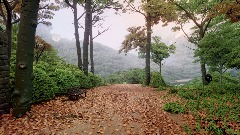 A screenshot taken in Dreams. 15 of 20.